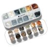 Shell box - GOLDEN ART SELECTION
