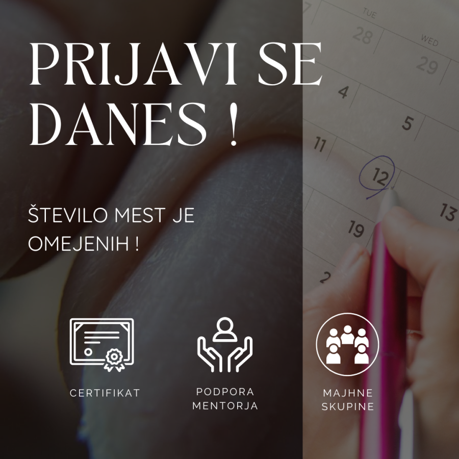 Professional Beginer tečaj za manikerje DODATEN RAZPIS