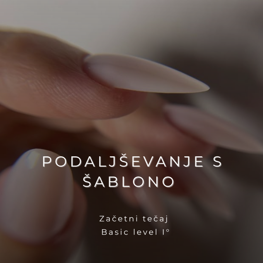 Začetni tečaj Šablona GO.