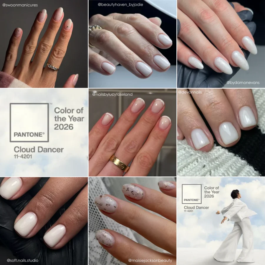 BARVA LETA 2026 Great Selection SET