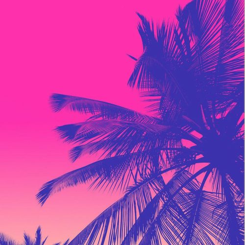 🍍🦩𝐒𝐔𝐌𝐌𝐄𝐑 𝐕𝐈𝐁𝐄𝐒🌴👙